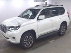 Toyota LAND CRUISER PRADO 2022 года TRJ150-0143921 ID: 544198 1