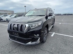 Toyota LAND CRUISER PRADO 2021 года TRJ150-0131056 ID: 544827 15