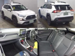 Toyota RAV4 2021 года MXAA54-5028527 ID: 545234 1