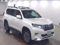 Toyota LAND CRUISER PRADO 2021 года TRJ150-0130058 ID: 541048 0