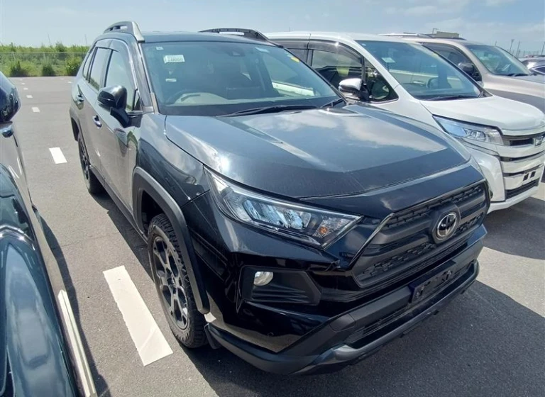 Toyota RAV4 2021 года MXAA54-5020877 ID: 546956