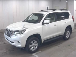 Toyota LAND CRUISER PRADO 2022 года TRJ150-0153933 ID: 548661 0