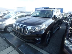 Toyota LAND CRUISER PRADO 2022 года TRJ150-0091679 ID: 519246 8