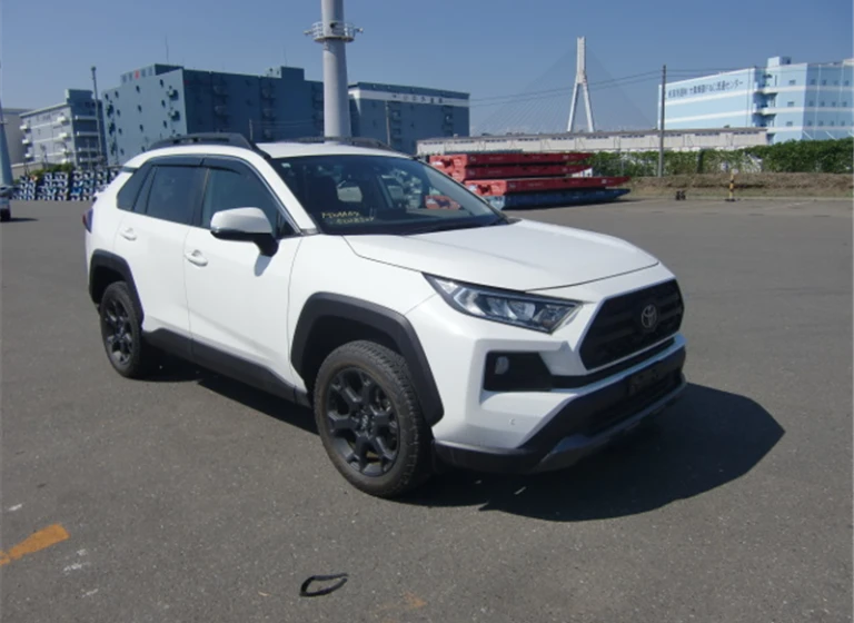 Toyota RAV4 2021 года MXAA54-5028527 ID: 545234
