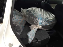 Nissan NOTE 2019 года HE12-277510 ID: 508159 7