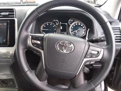 Toyota LAND CRUISER PRADO 2022 года TRJ150-0151124 ID: 544768 17