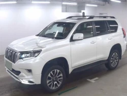 Toyota LAND CRUISER PRADO 2021 года TRJ150-0130058 ID: 541048 1