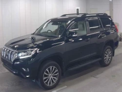 Toyota LAND CRUISER PRADO 2020 года TRJ150-0118128 ID: 545535 0