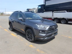 Toyota RAV4 2021 года MXAA54-5022969 ID: 545244 9