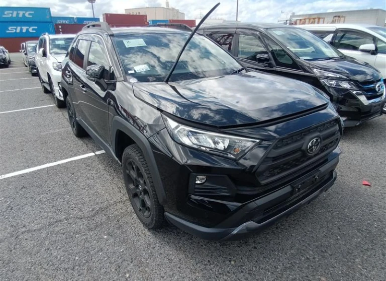 Toyota RAV4 2021 года MXAA54-5034542 ID: 548113
