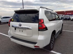 Toyota LAND CRUISER PRADO 2022 года TRJ150-0143921 ID: 544198 11