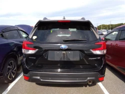 Subaru FORESTER 2018 года SK9-002349 ID: 510648 19