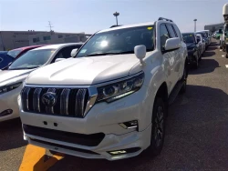 Toyota LAND CRUISER PRADO 2021 года TRJ150-0130058 ID: 541048 10