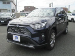 Toyota RAV4 2021 года MXAA54-5025554 ID: 545942 0