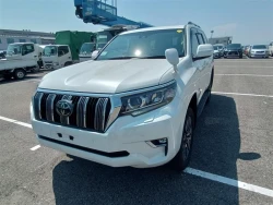 Toyota LAND CRUISER PRADO 2022 года TRJ150-0141925 ID: 544163 11