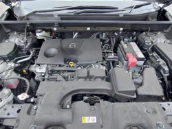 Toyota RAV4 2022 года MXAA54-5036728 ID: 545663 17