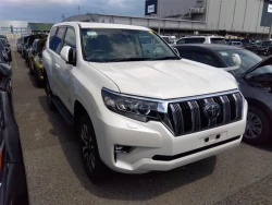 Toyota LAND CRUISER PRADO 2022 года TRJ150-0153831 ID: 541876 8