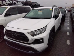 Toyota RAV4 2022 года MXAA54-5036321 ID: 542317 1