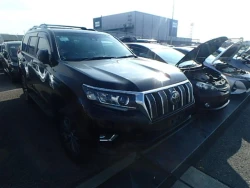 Toyota LAND CRUISER PRADO 2022 года TRJ150-0091679 ID: 519246 9