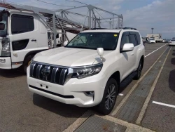 Toyota LAND CRUISER PRADO 2021 года TRJ150-0126845 ID: 538661 16