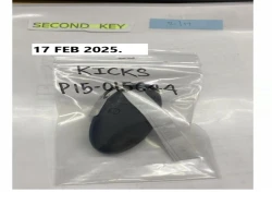 Nissan KICKS 2020 года P15-015644 ID: 516131 0