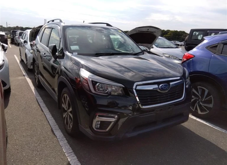 Subaru FORESTER 2018 года SK9-002349 ID: 510648