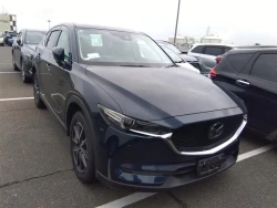 Mazda CX5, 2018 года KFEP-204615 ID: 519900 13