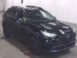 Toyota RAV4 2022 года MXAA54-5037025 ID: 545544 18