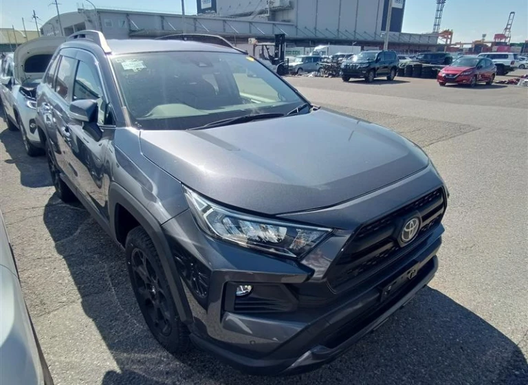 Toyota RAV4 2022 года MXAA54-5033534 ID: 551209