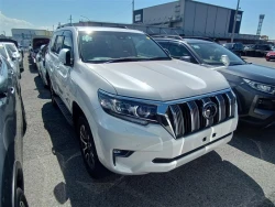 Toyota LAND CRUISER PRADO 2022 года TRJ150-0155950 ID: 551239 11