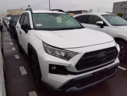 Toyota RAV4 2022 года MXAA54-5036321 ID: 542317 0