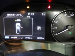 Nissan KICKS 2020 года P15-027328 ID: 516822 7