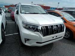Toyota LAND CRUISER PRADO 2022 года TRJ150-0146137 ID: 550139 18