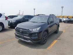 Toyota RAV4 2021 года MXAA54-2027991 ID: 549759 0