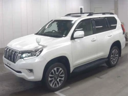 Toyota LAND CRUISER PRADO 2022 года TRJ150-0141925 ID: 544163 1