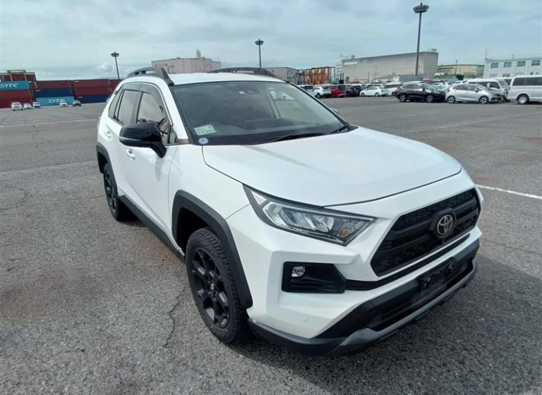 Toyota RAV4 2022 года MXAA54-5033578 ID: 550090