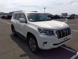 Toyota LAND CRUISER PRADO 2022 года TRJ150-0151427 ID: 541198 9