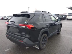 Toyota RAV4 2021 года MXAA54-5017671 ID: 539701 3