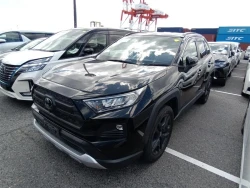 Toyota RAV4 2022 года MXAA54-5033861 ID: 545793 2