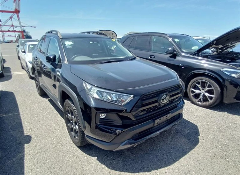 Toyota RAV4 2022 года MXAA54-5036845 ID: 551125