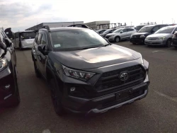 Toyota RAV4 2022 года MXAA54-5032312 ID: 539557 0