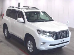 Toyota LAND CRUISER PRADO 2022 года TRJ150-0153933 ID: 548661 1