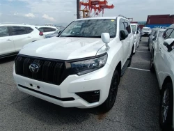 Toyota LAND CRUISER PRADO 2022 года TRJ150-0157953 ID: 557357 12