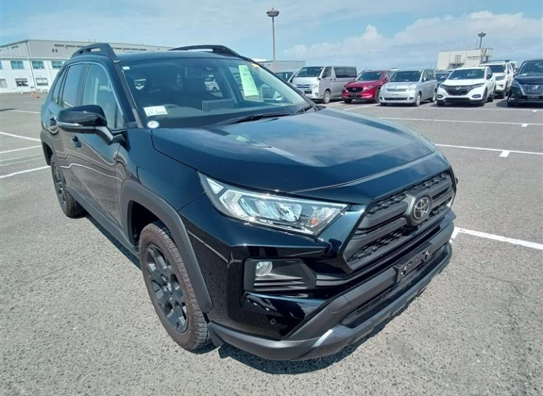 Toyota RAV4 2021 года MXAA54-5021129 ID: 550075