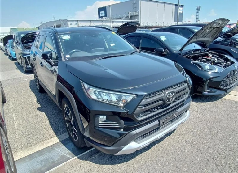 Toyota RAV4 2021 года MXAA54-2030924 ID: 549608