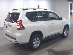 Toyota LAND CRUISER PRADO 2022 года TRJ150-0153933 ID: 548661 3