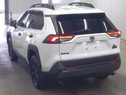 Toyota RAV4 2022 года MXAA54-5036321 ID: 542317 21