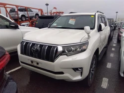 Toyota LAND CRUISER PRADO 2020 года TRJ150-0115623 ID: 540758 16