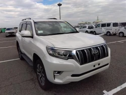 Toyota LAND CRUISER PRADO 2022 года TRJ150-0143921 ID: 544198 8