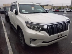 Toyota LAND CRUISER PRADO 2020 года TRJ150-0115623 ID: 540758 15
